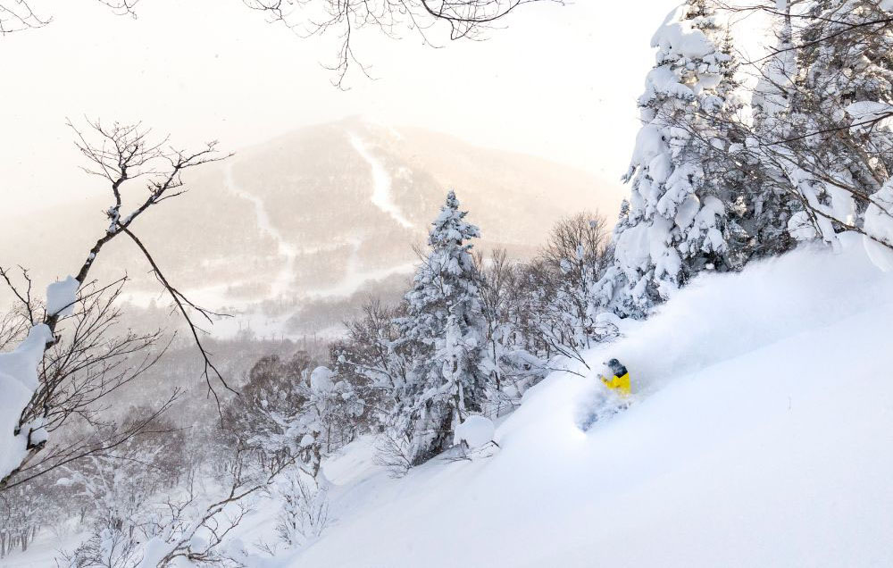 八幡平の雪質